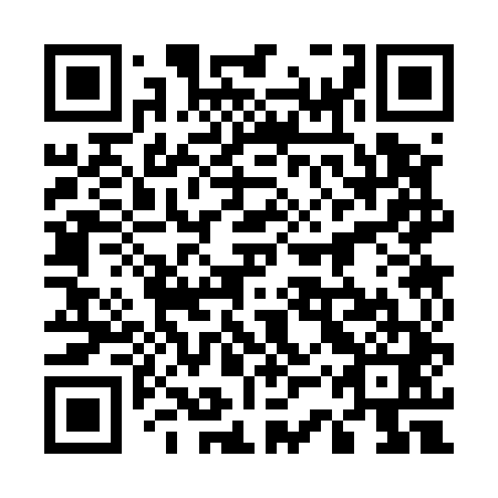 QR code for 53S541