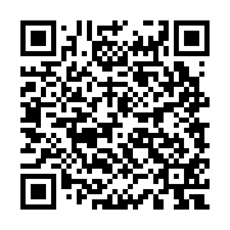 QR code for 53T 311