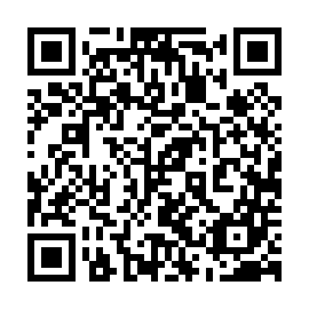 QR code for plate 53T 047