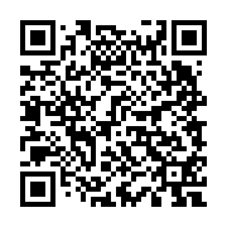 QR code for plate 53T 610