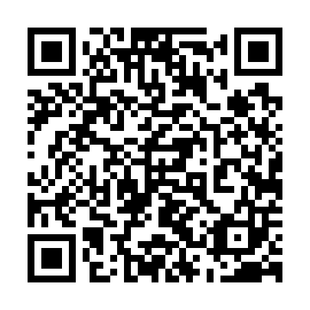 QR code for plate 53T 703