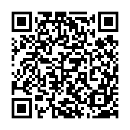 QR code for plate 53U 652