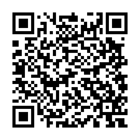 QR code for plate 53V 017