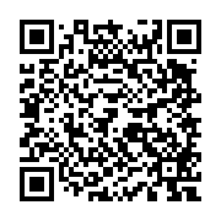 QR code for 53Z 489