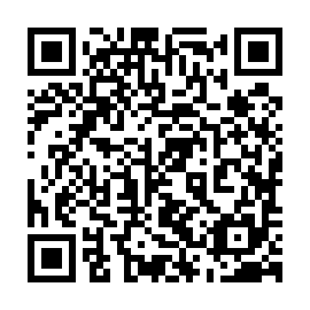 QR code for 53Z 595