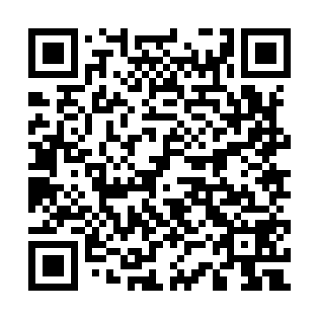 QR code for plate 53Z 958