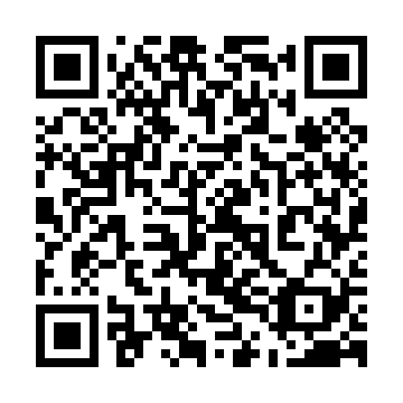QR code for plate 54G 029
