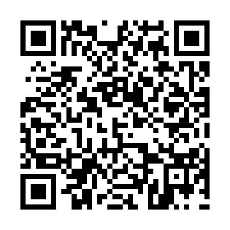 QR code for 54L 313