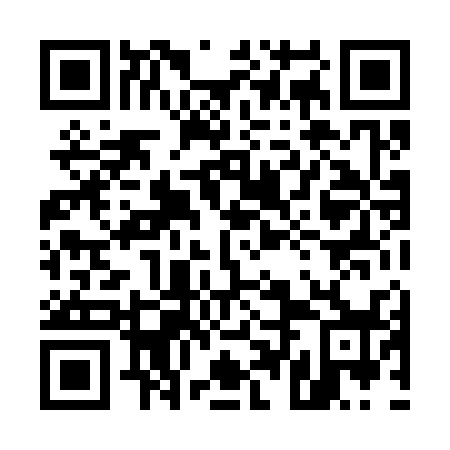 QR code for 54L 338
