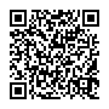 QR code for plate 54M 542