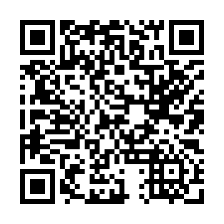QR code for plate 54N 996