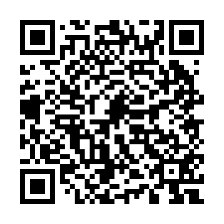 QR code for 54P251