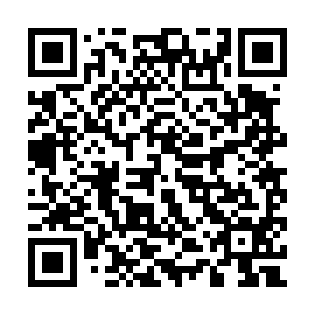 QR code for plate 54R 494