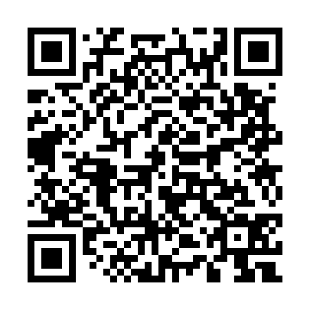 QR code for plate 54S 534