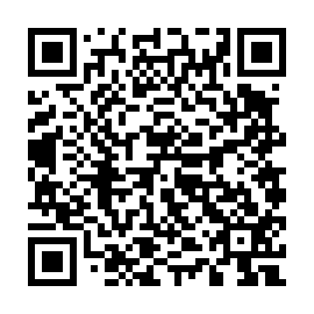 QR code for plate 54V 413