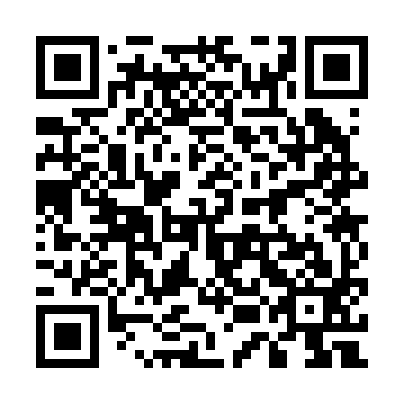 QR code for plate 55C 293
