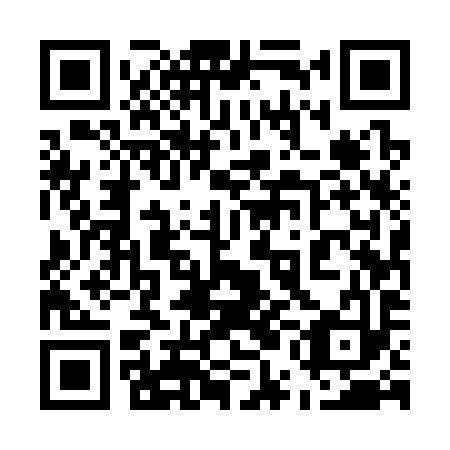 QR code for 55E 393