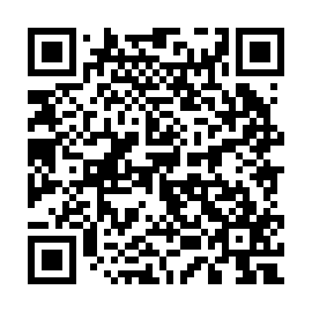 QR code for plate 55H 217