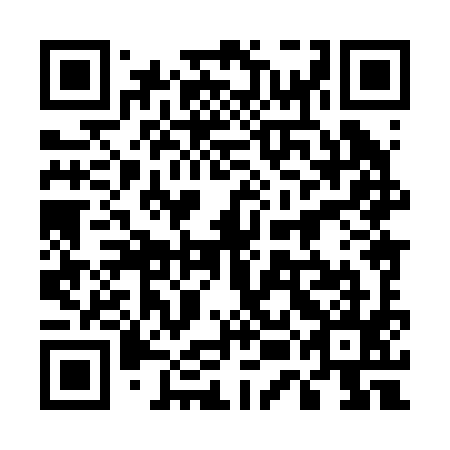 QR code for plate 55H 295