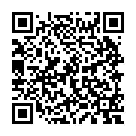 QR code for 55I 290
