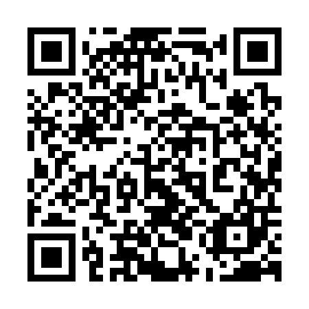 QR code for 55I 307
