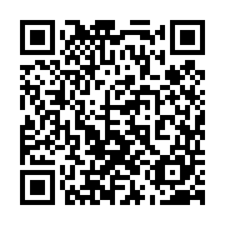 QR code for 55I445