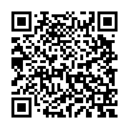 QR code for 55L060