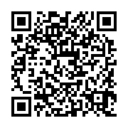 QR code for 55L380