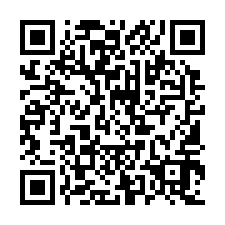 QR code for 55M312
