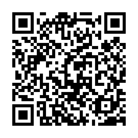 QR code for plate 55O 491