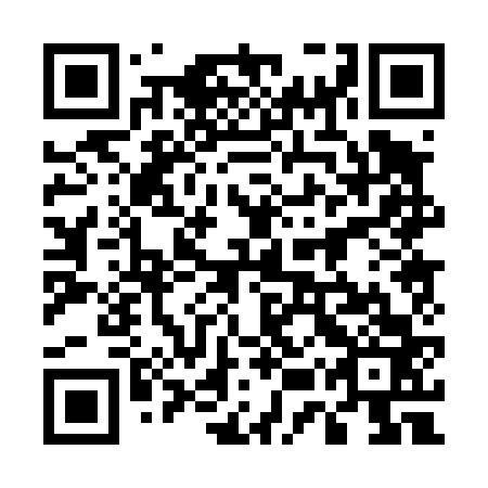 QR code for 55P 463