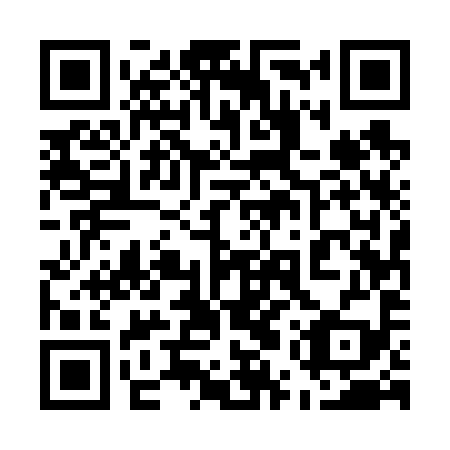 QR code for plate 55U 699