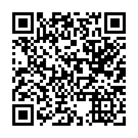 QR code for 55V387