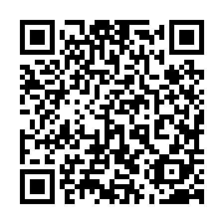 QR code for 55Z 208