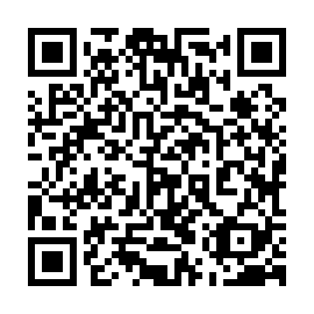 QR code for 55Z129