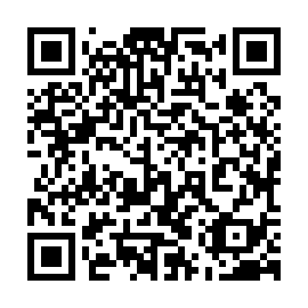 QR code for 55Z139