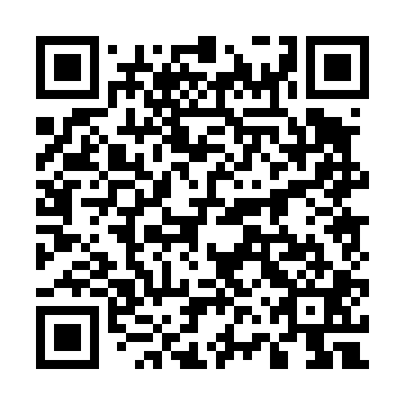 QR code for 56P401