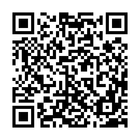 QR code for plate 56P 576