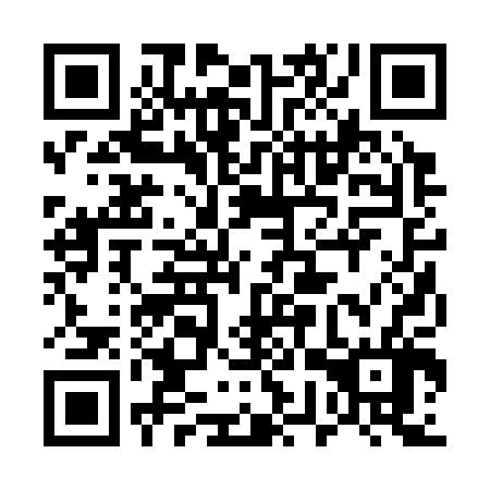 QR code for plate 57R 306
