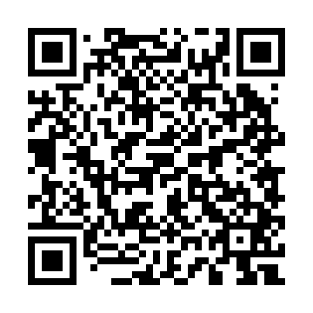 QR code for plate 57T 241