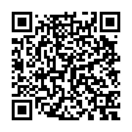 QR code for plate 58P 030