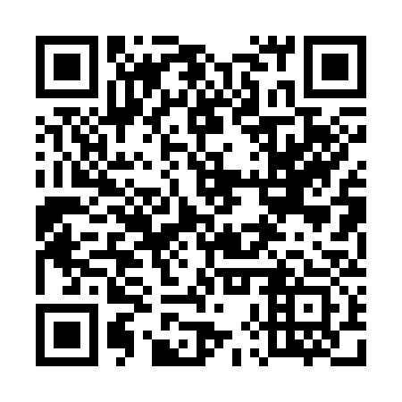 QR code for 58P333
