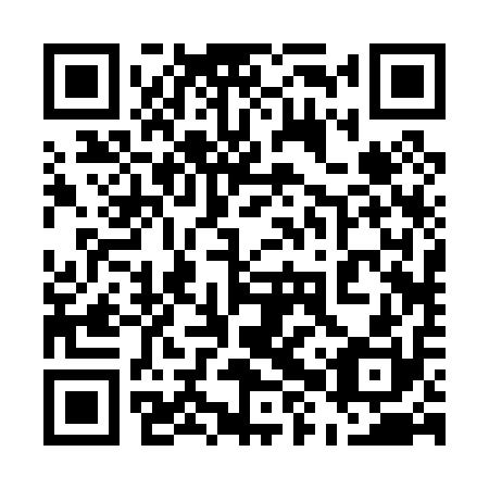 QR code for plate 58R 010