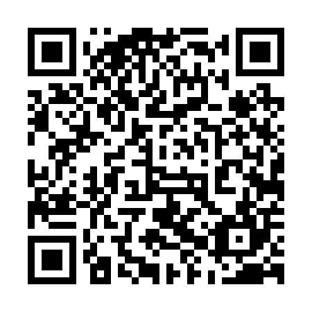 QR code for plate 58T 204