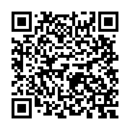 QR code for plate 59B 513
