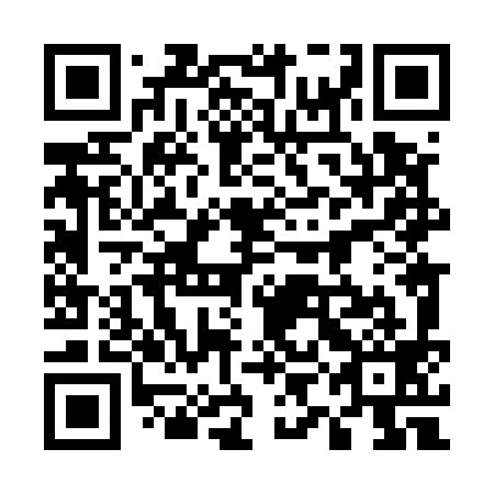 QR code for plate 59L 599