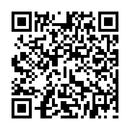 QR code for plate 5BG 380