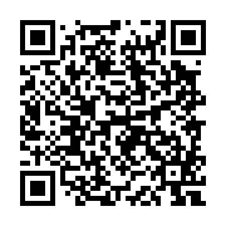 QR code for plate 5CX 085