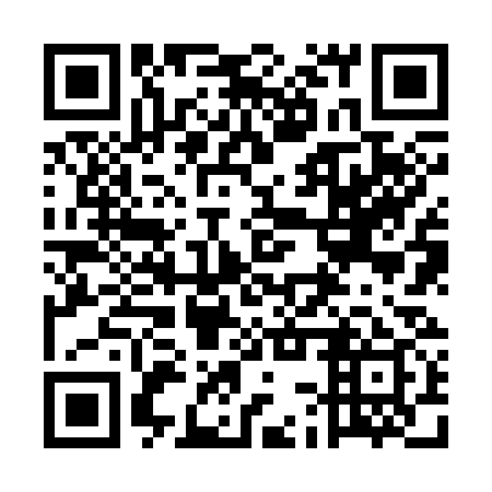 QR code for plate 5CZ 339