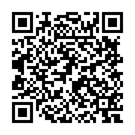QR code for 5D 3851